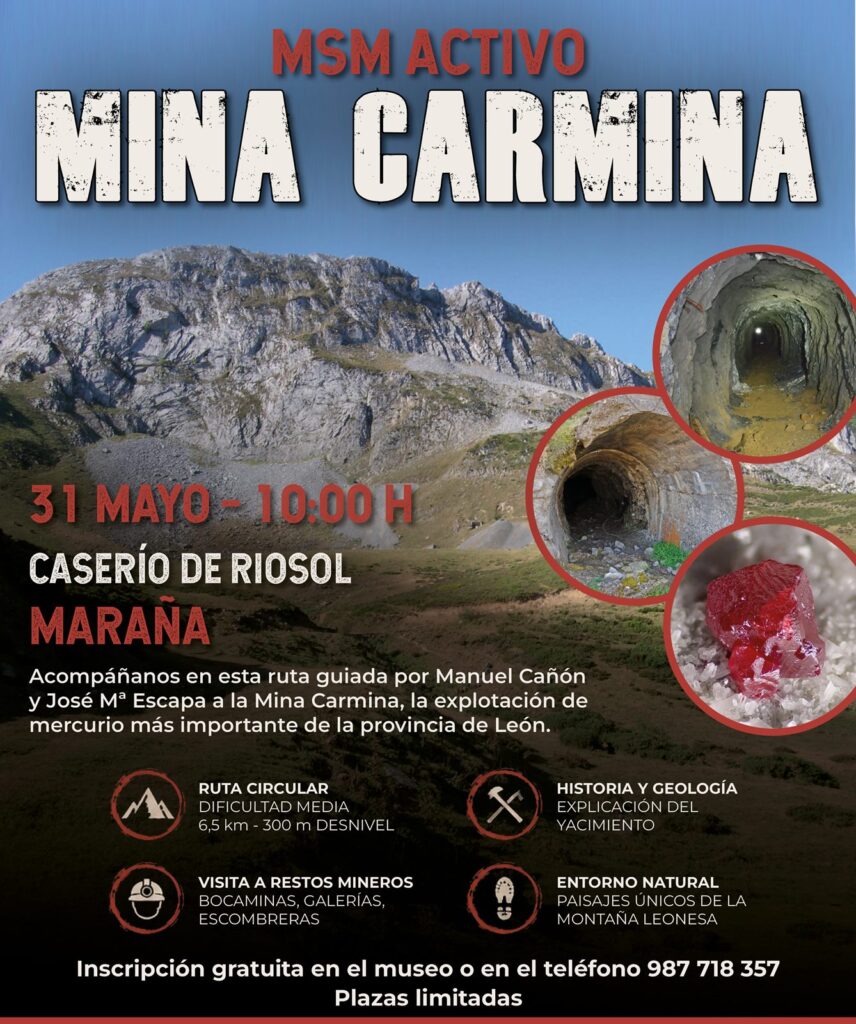 MSM ACTIVO – MINA CARMINA