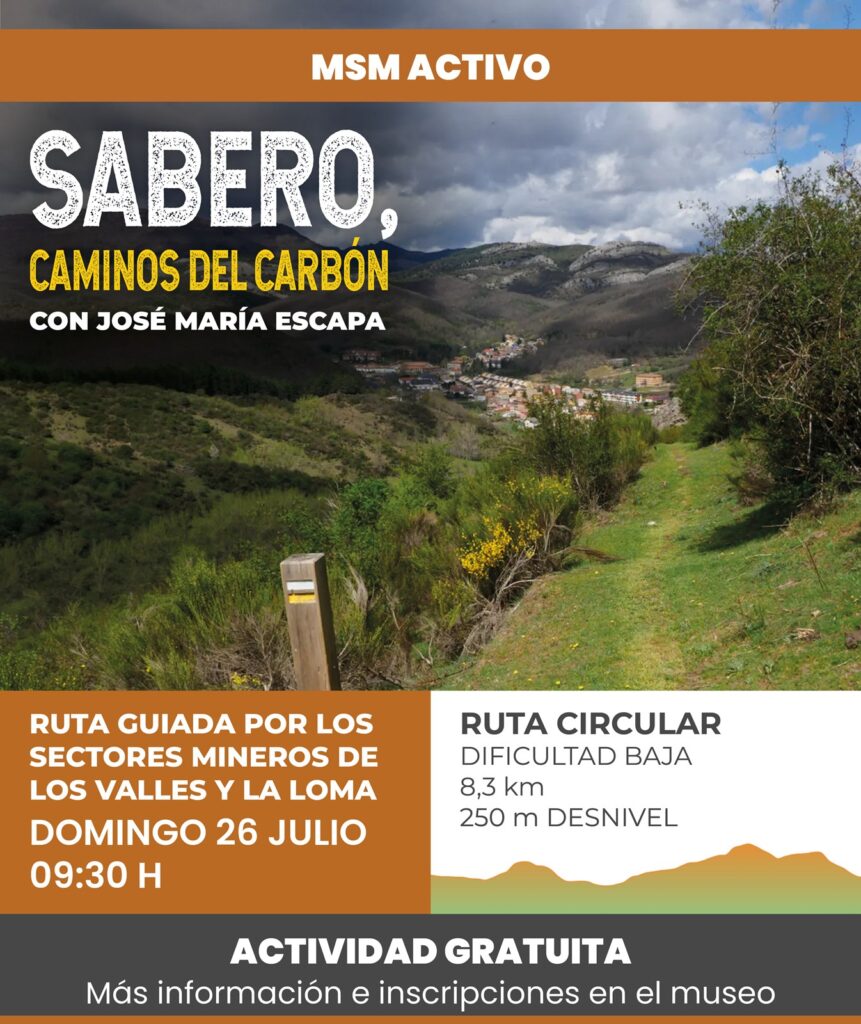 MSM ACTIVO – CAMINOS DEL CARBÓN
