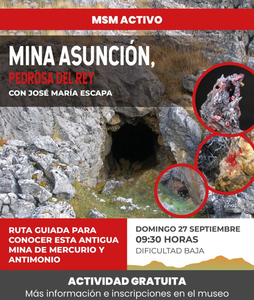 MSM ACTIVO – MINA ASUNCIÓN