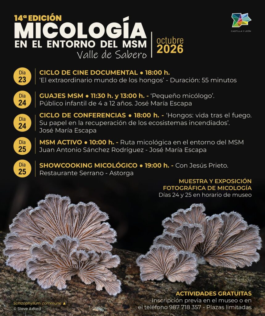 MICOLOGÍA EN EL ENTORNO DEL MSM 2026